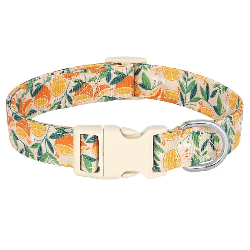 Chihuahua Collar: Orange Flowers