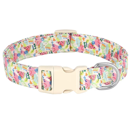 Chihuahua Collar: Colorful Pink Pattern
