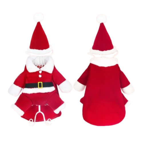 Chihuahua Costume: Santa Claus