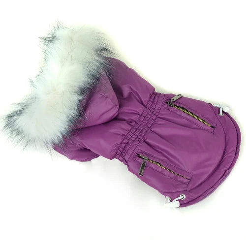 Chihuahua Coat: Flashy Down Jacket