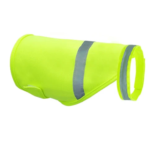 Chihuahua Fluorescent Vest