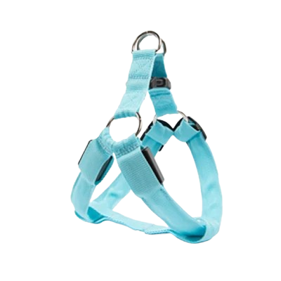 Harnais Chihuahua : Bleu Lumineux LED