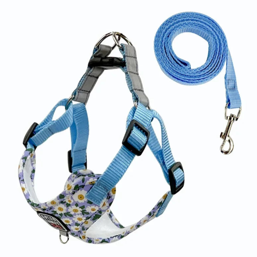 Chihuahua Harness: Blue with Daisy Pattern