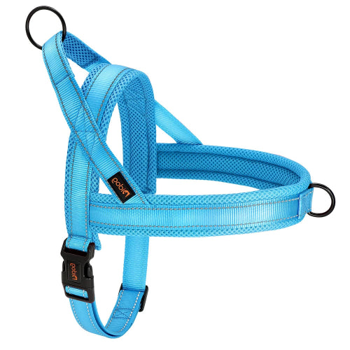Chihuahua-Geschirr: Blaues Nylon