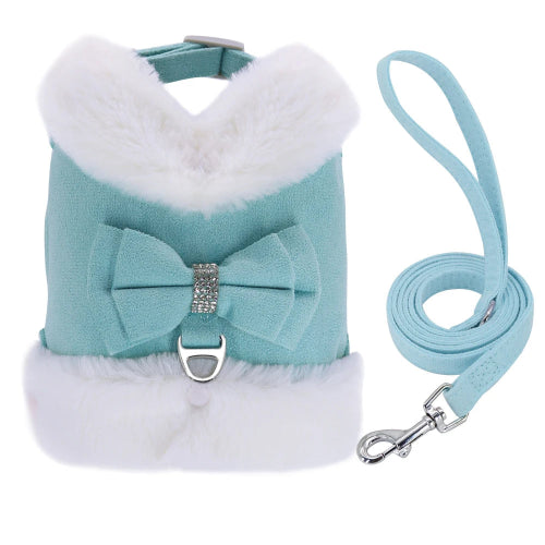 Harnais Chihuahua : Chaud Rembourré Bleu + Laisse