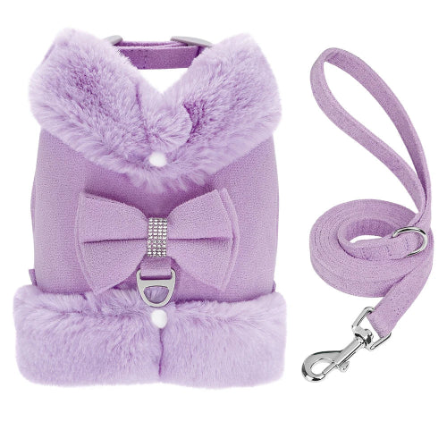 Harnais Chihuahua : Chaud Rembourré Violet + Laisse