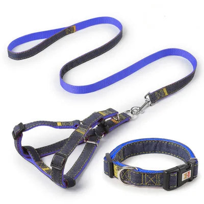 Chihuahua-Geschirr: Schwarz-Blaues Set