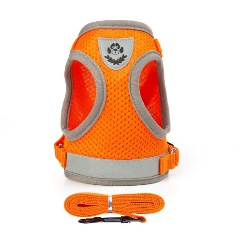 Harnais Chihuahua : Orange Réfléchissant + Laisse