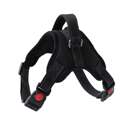 Harnais Chihuahua : Anti Traction Noir