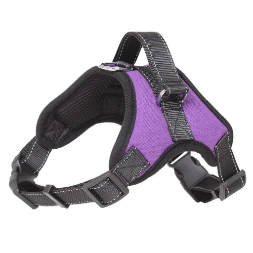 Harnais Chihuahua : Anti Traction Violet