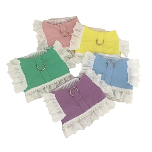 Harnais Chihuahua : Robe Colorée en Dentelle