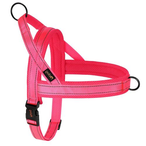 Chihuahua-Geschirr: Auffälliges rosa Nylon