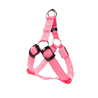 Harnais Chihuahua : Rose Lumineux LED