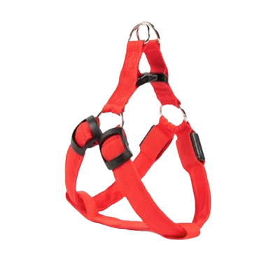 Harnais Chihuahua : Rouge Lumineux LED