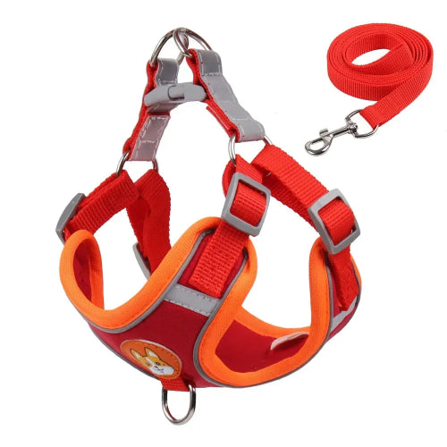 Chihuahua Harness: Red and Orange + Leash