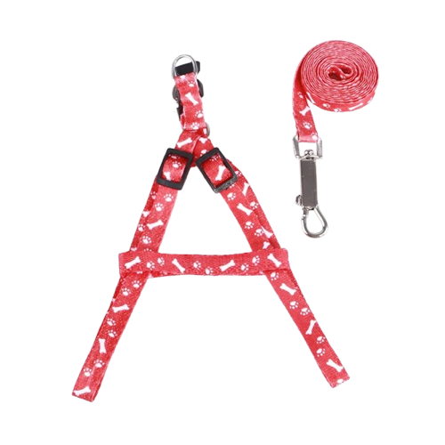 Chihuahua-Geschirr: Rotes Knochenmuster + Leine