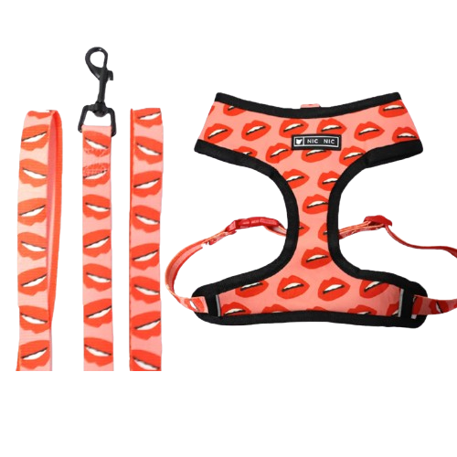 Harnais Chihuahua : Rouge motifs Bisous + Laisse