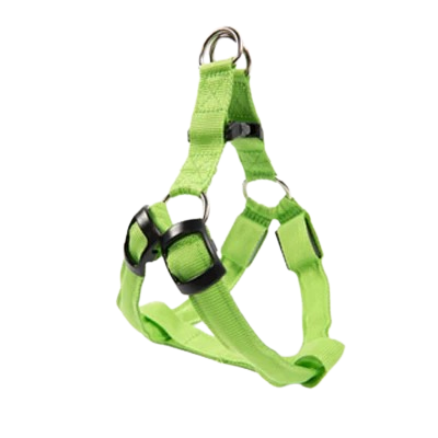 Harnais Chihuahua : Vert Lumineux LED