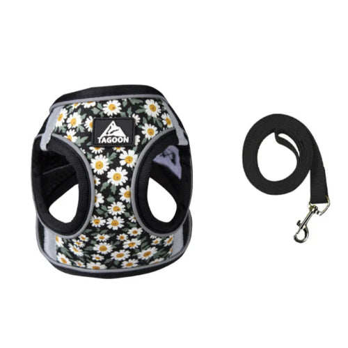 Harnais Chihuahua : Noir résistant motifs Pâquerettes + Laisse
