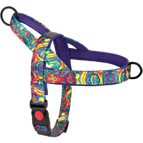 Harnais Chihuahua : Coloré en Nylon