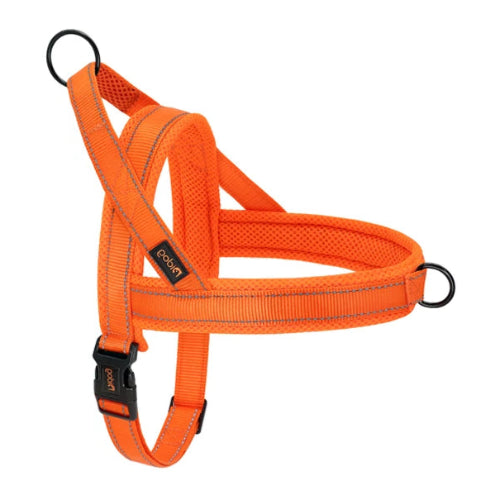 Chihuahua-Geschirr: Oranges Nylon