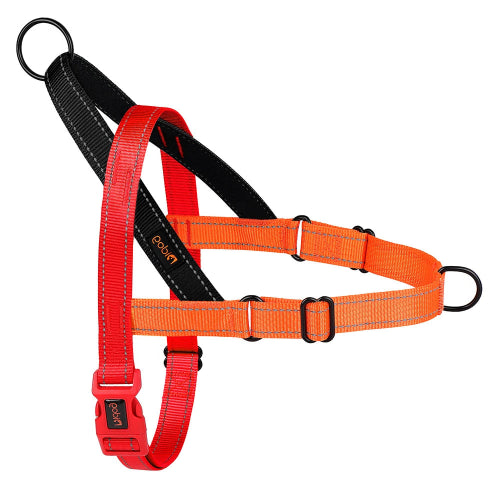 Chihuahua-Geschirr: Orange und rotes Nylon