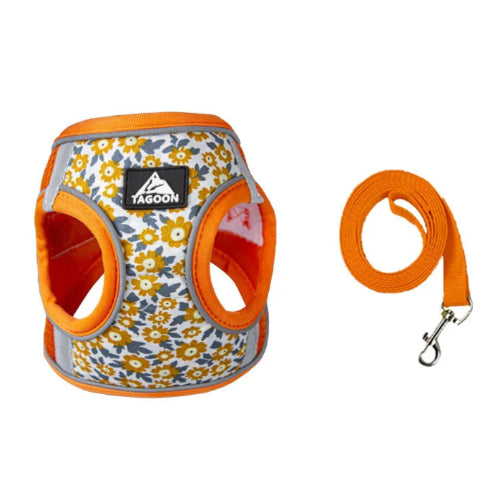 Harnais Chihuahua : Orange résistant motifs Pâquerettes + Laisse