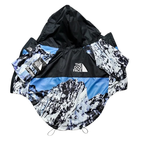 Chihuahua-Mantel: Mountain Raincoat