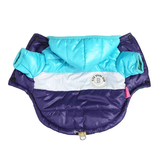 Chihuahua-Mantel: Blaue Daunenjacke mit Kapuze