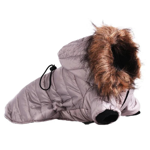 Chihuahua Coat: Grey Fur Collar Down Jacket