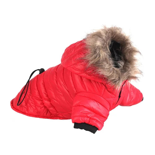 Chihuahua Coat: Red Fur Collar Down Jacket