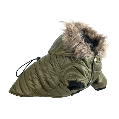 Chihuahua Coat: Green Fur Collar Down Jacket