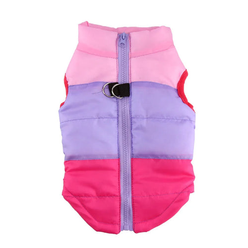 Chihuahua-Mantel: Rosa-lila Daunenjacke