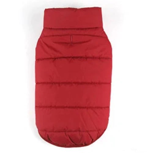 Chihuahua-Mantel: Rote Daunenjacke