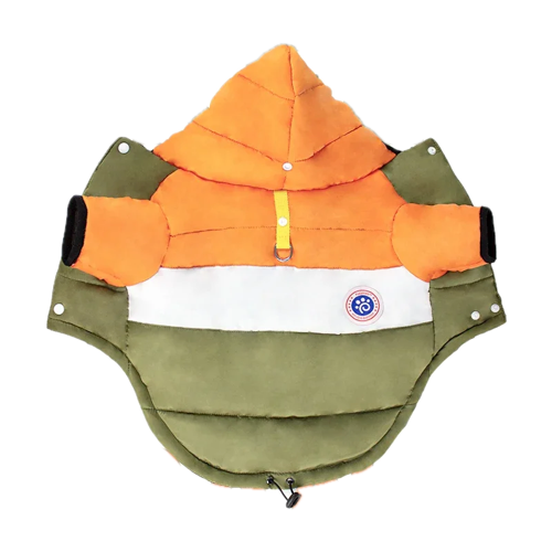 Chihuahua Coat: Green &amp; Orange Down Jacket