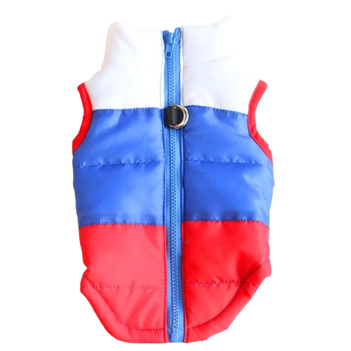 Manteau Chihuahua : Doudoune Blanc Bleu Rouge