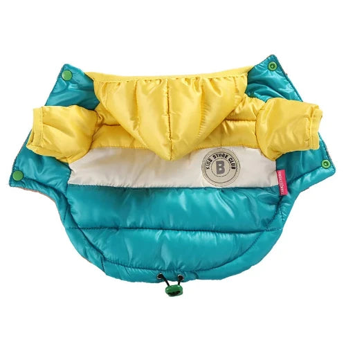 Chihuahua-Mantel: Blau-gelbe Daunenjacke