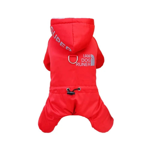 Manteau Chihuahua : Veste Imperméable Rouge