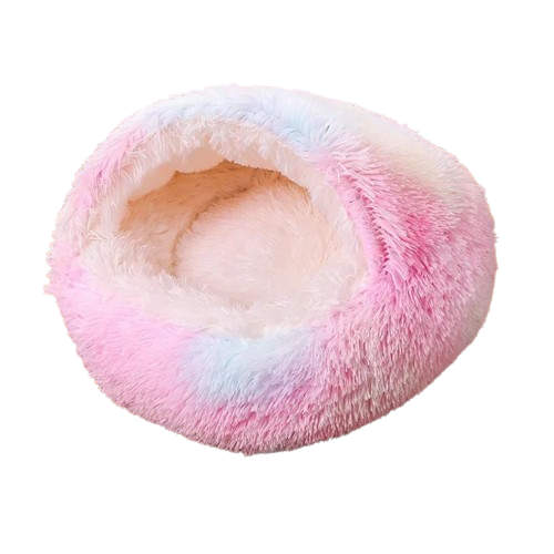 Chihuahua-Korb: Regenbogenkokon