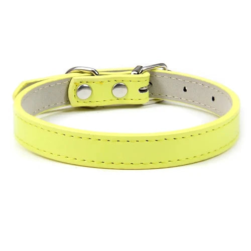 Chihuahua Collar: Leather Color