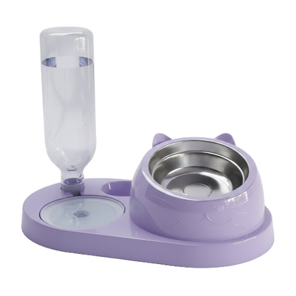 Dog Bowl: Double with tilted bowl