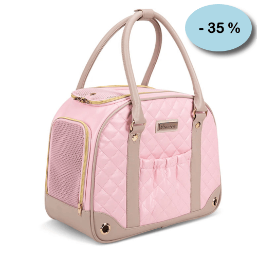 Chihuahua Transport: LV Quilted Bag