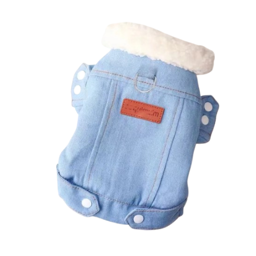 Chihuahua-Mantel: Jeansjacke