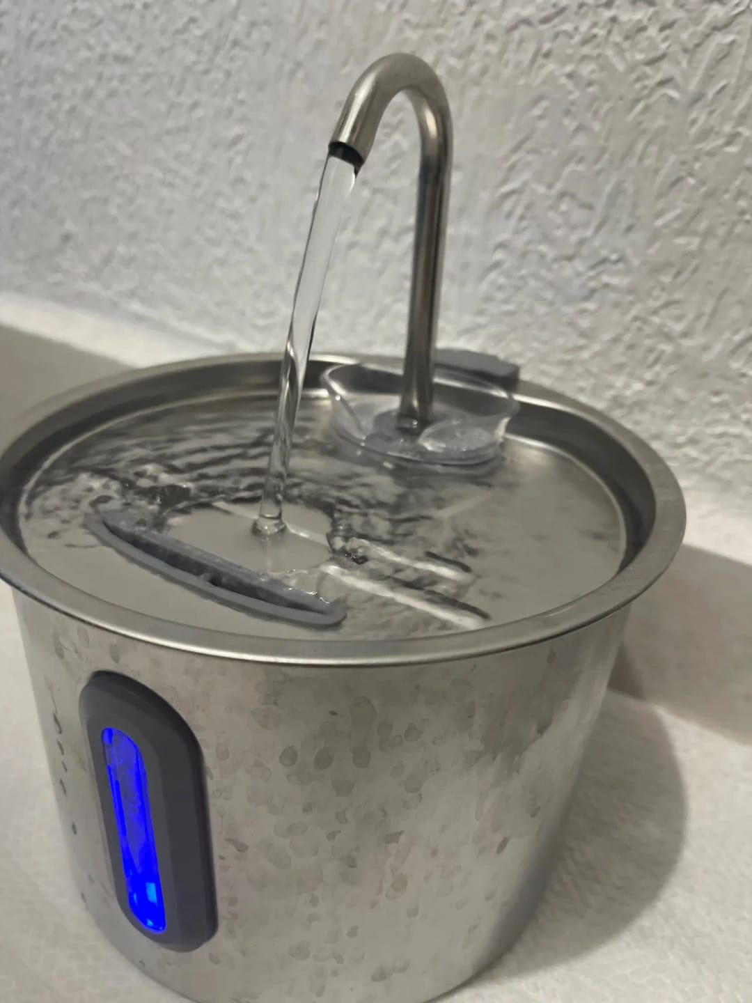 Photo d'une fontaine à eau automatique silencieuse pour les petits chiens. Avis 5 étoiles laissé sur la boutique Mon Petit Chihuahua. Convient aussi aux chats.