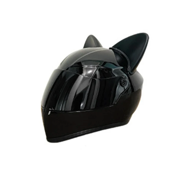 Zubehör für kleine Hunde: Integralhelm mit Ohren