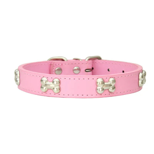 Chihuahua-Halsband: Knochenleder
