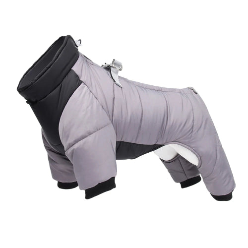 Chihuahua Coat: Full Down Jacket