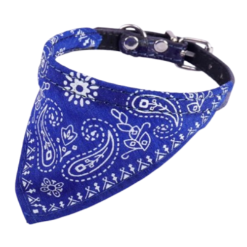 Chihuahua-Halsband: Biker-Schal