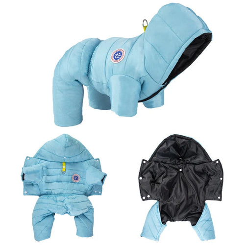 Chihuahua Coat: Kway Flashy