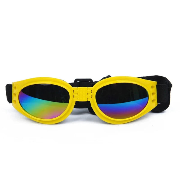Chihuahua-Zubehör: Faltbare Brille